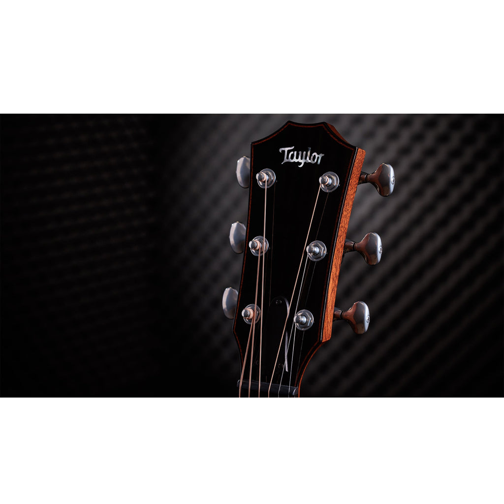 Taylor Custom "The Catch" NAMM 2024 #14 C14ce Grand Auditorium Bearclaw Sitka/AA Indian Rosewood Natural - View 11