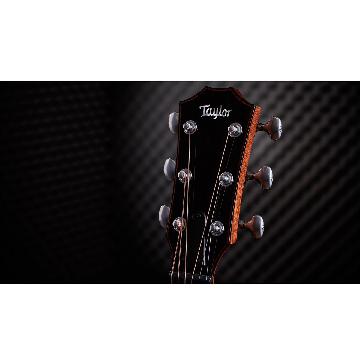 Taylor Custom "The Catch" NAMM 2024 #14 C14ce Grand Auditorium Bearclaw Sitka/AA Indian Rosewood Natural - View 11