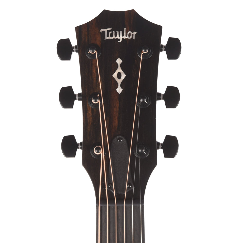 Taylor Next Generation 324ce Grand Auditorium Neo-Tropical Mahogany/Sapele Shaded Edgeburst w/Claria - View 6 |