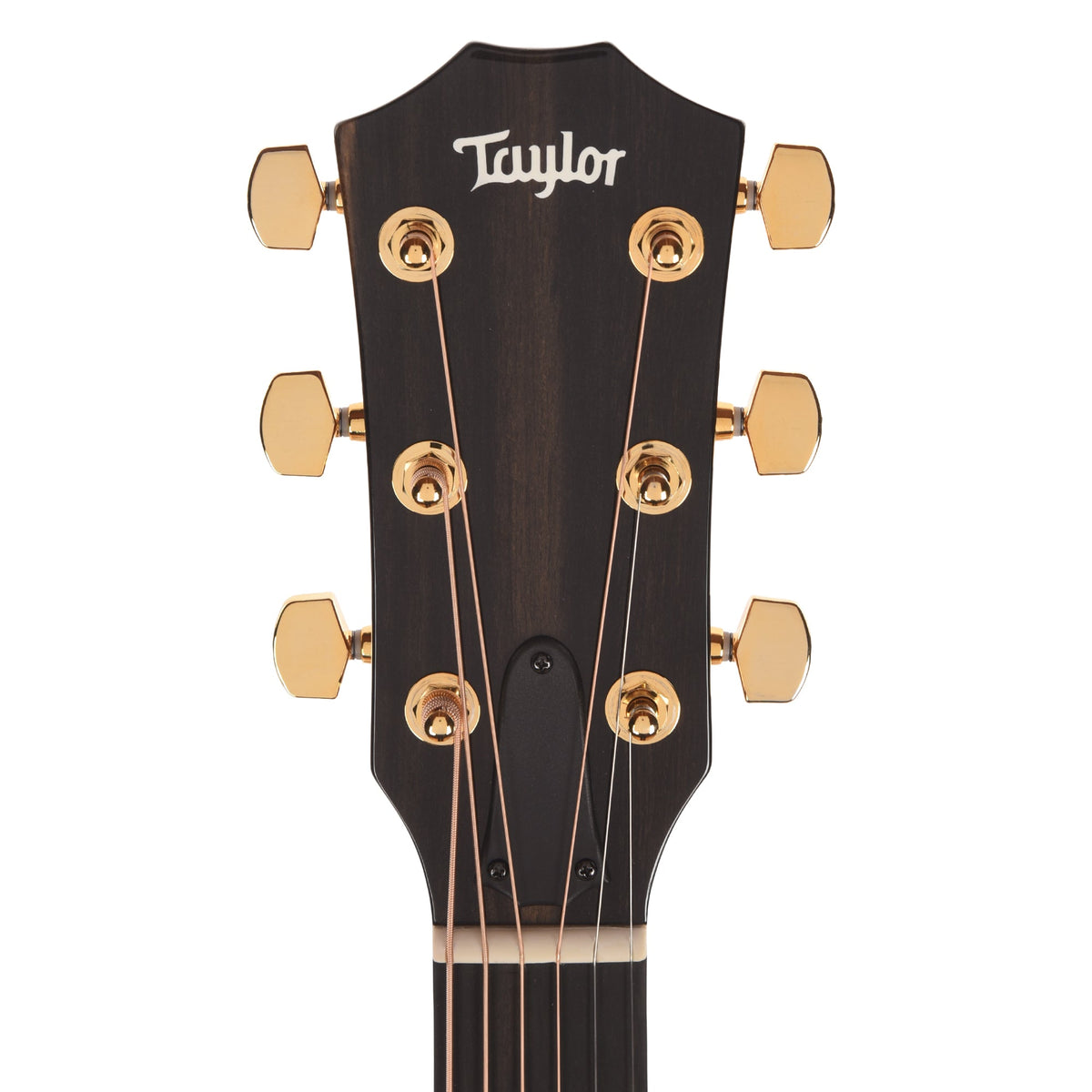 Taylor Special Edition 217e Plus Grand Pacific Torrefied Spruce/Big Leaf Maple Honeyburst ES2 - View 6 | MusicMarket