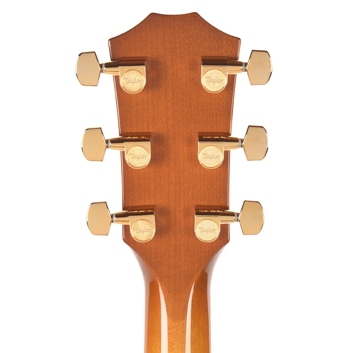 Taylor Special Edition 217e Plus Grand Pacific Torrefied Spruce/Big Leaf Maple Honeyburst ES2 - View 7 | MusicMarket