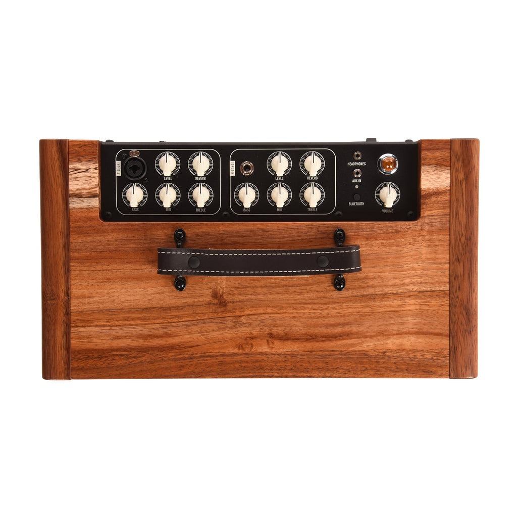 Taylor Circa 74 AV150-10 Acoustic Amplifier & Vocal System Select Koa w/Stand - View 4 | MusicMarket