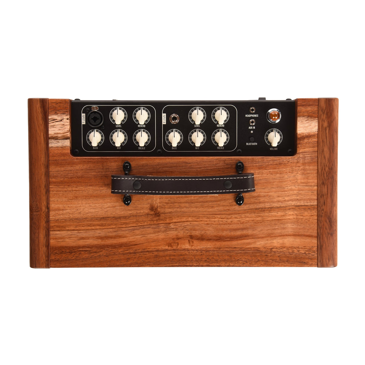 Taylor Circa 74 AV150-10 Acoustic Amplifier & Vocal System Select Koa w/Stand - View 4 | MusicMarket