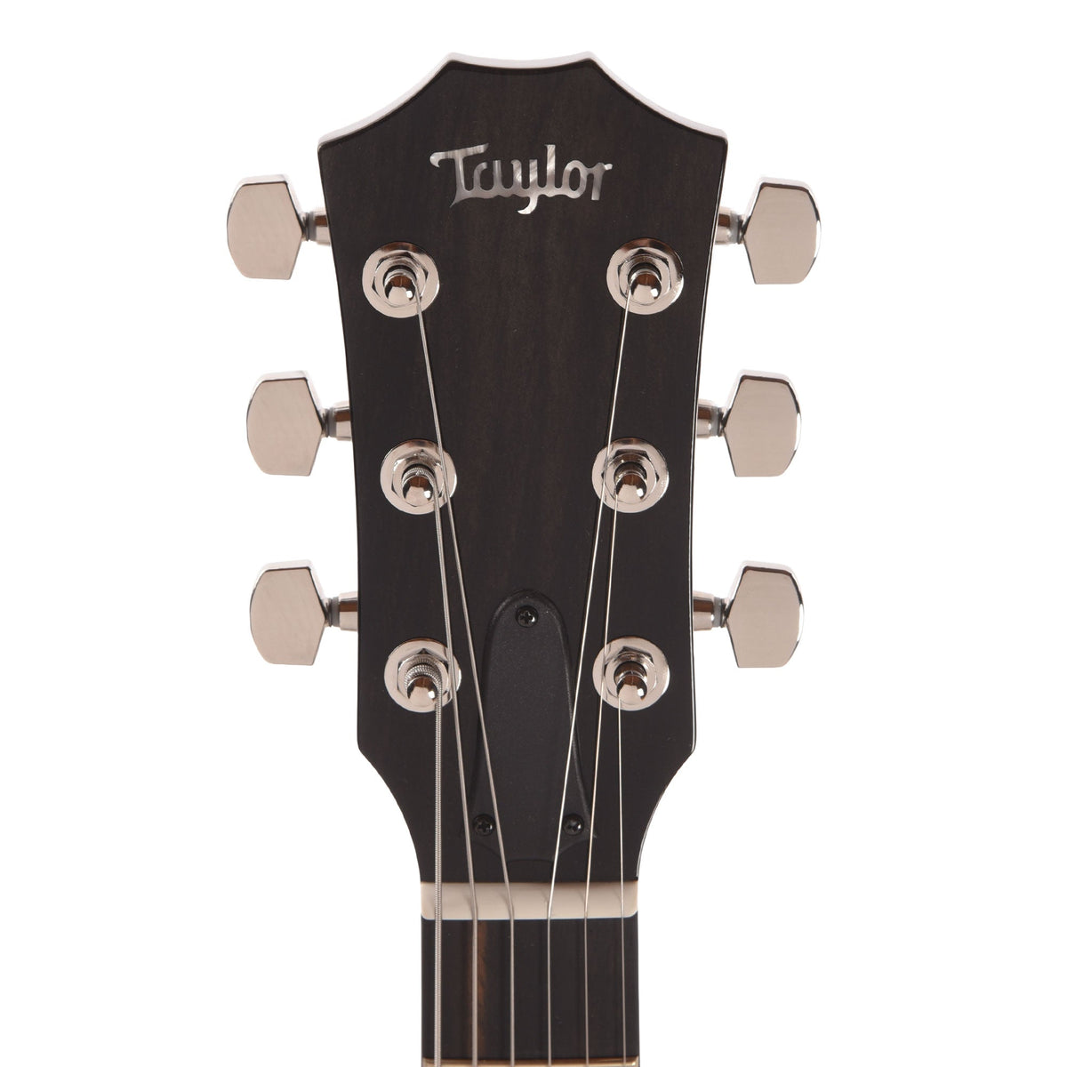 Taylor T5z Pro Figured Big Leaf Maple Harbor Blue - View 6 | MusicMarket