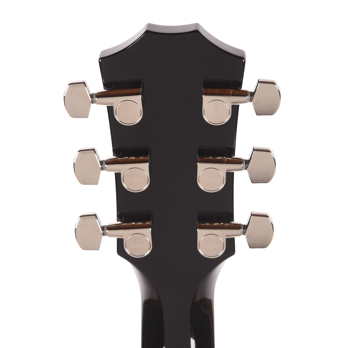 Taylor T5z Pro Figured Big Leaf Maple Harbor Blue - View 7 | MusicMarket