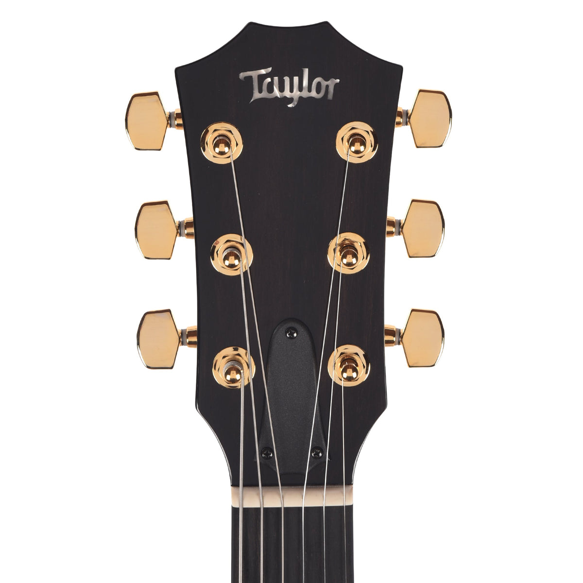 Taylor T5z Custom Hawaiian Koa Shaded Edgeburst - View 6 | MusicMarket