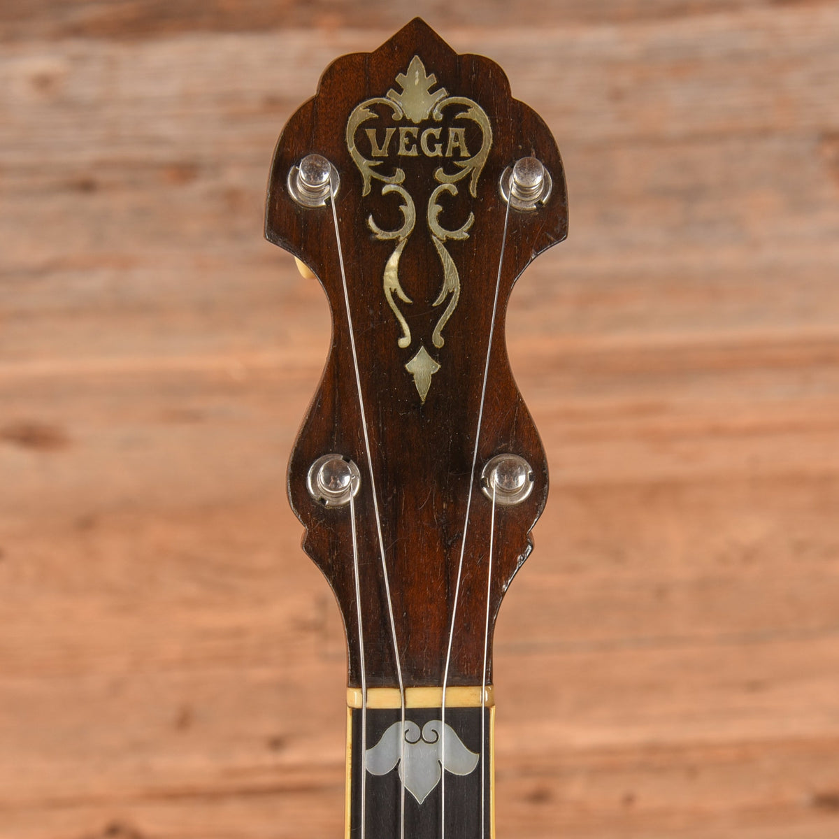 Vega Style M Tenor Banjo 1910 - View 6 | MusicMarket