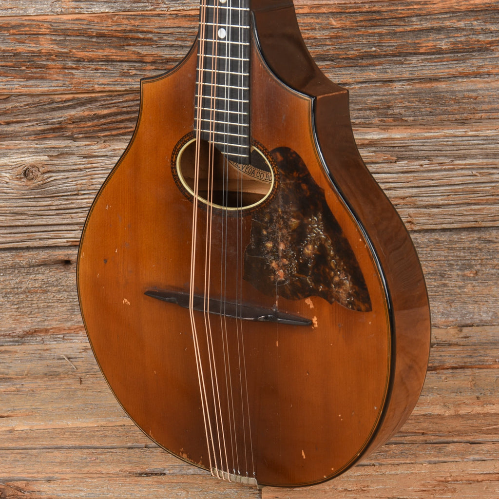 Vega Cylinderback Mandolin Natural 1913 - View 2 | MusicMarket