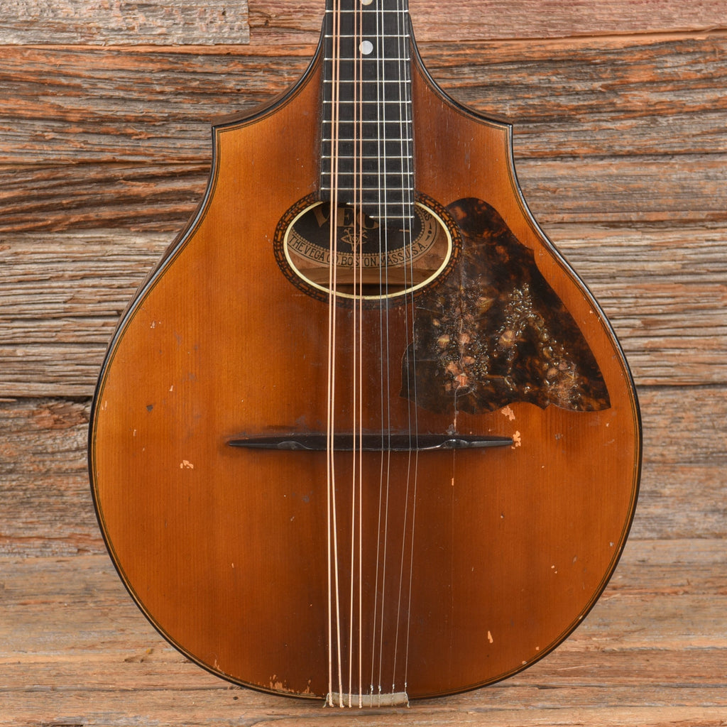 Vega Cylinderback Mandolin Natural 1913 - MusicMarket