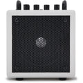 Phil Jones Bass X4C Nanobass 35-watt Multi-instrument Combo Amplifier - White - MusicMarket